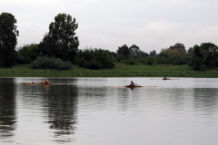 Rowing-1-Mens-Single